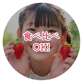 食べ比べ OK!